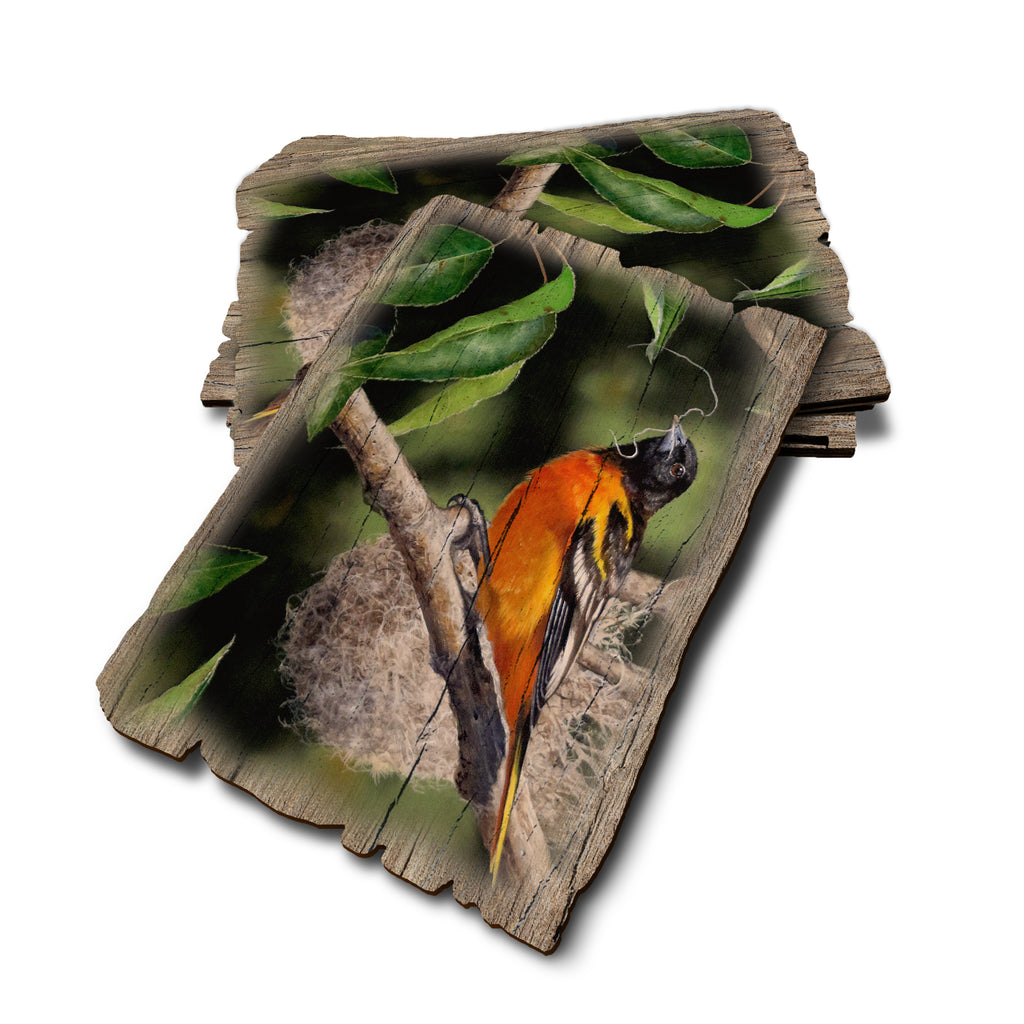 Kelso's The Architect - Weathered Edge Rustic Edge Postcard (5pk // $2.80ea)