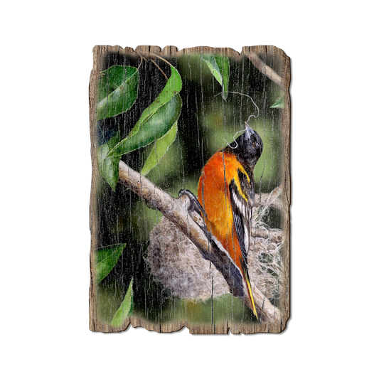 Greeting Card: Weathered Edge - Kelso's The Architect