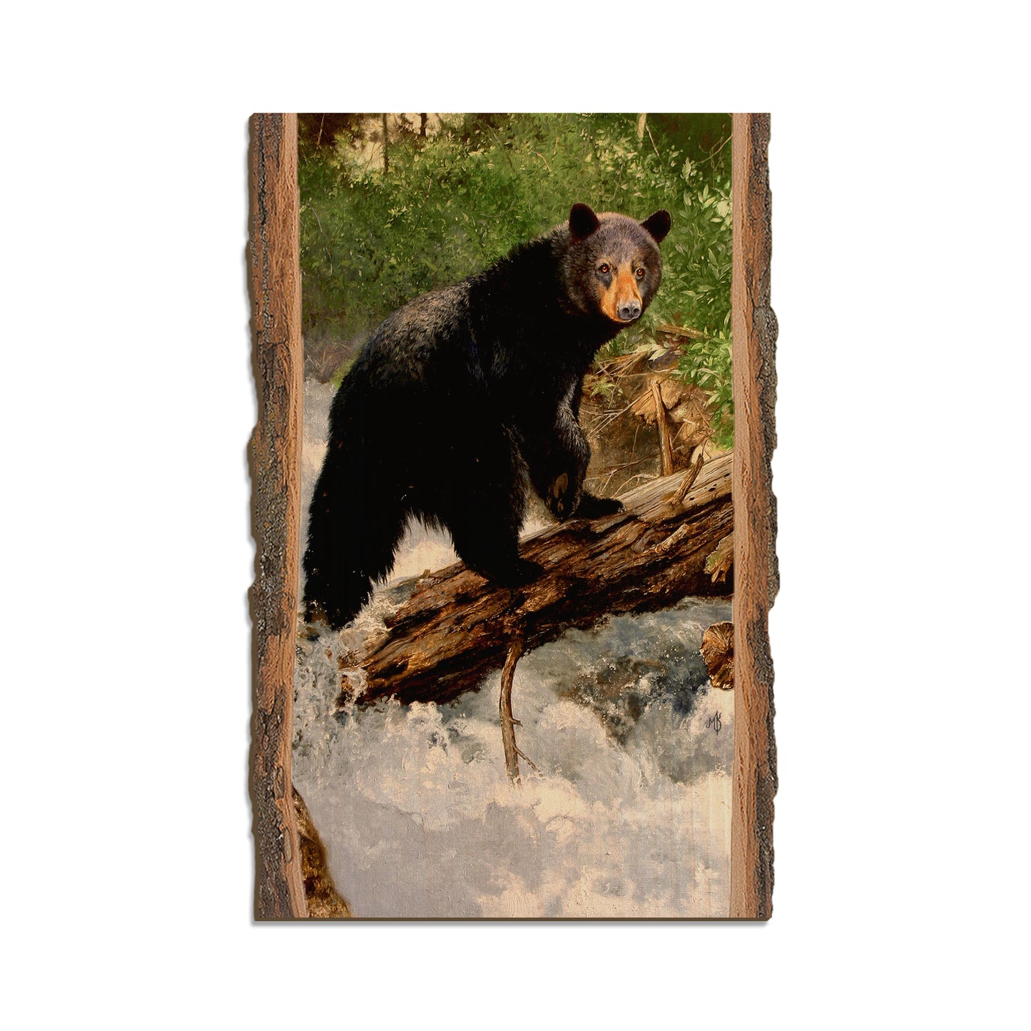 Kelso's The Causeway - Live Edge Live Edge Magnet (5pk // $2.80ea)