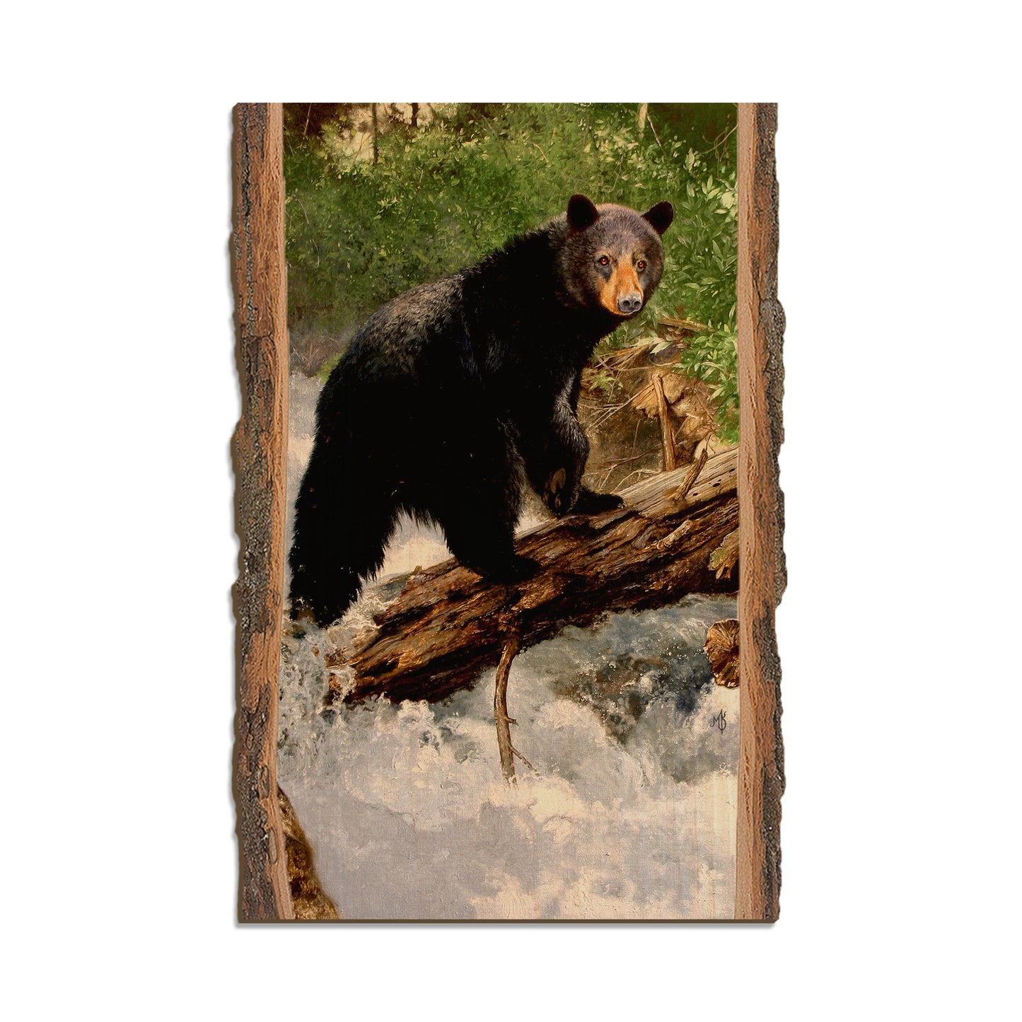 Kelso's The Causeway - Live Edge Live Edge Postcard (5pk // $2.80ea)