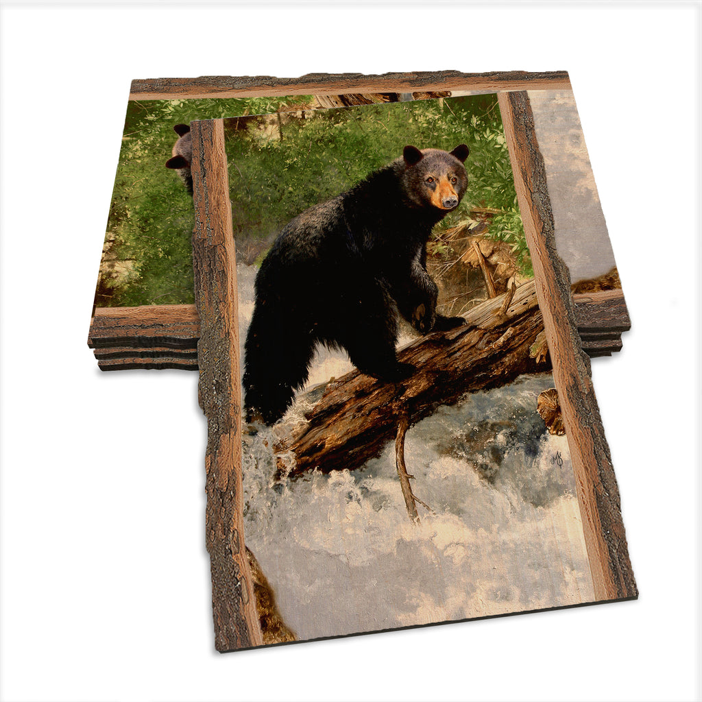 Kelso's The Causeway - Live Edge Live Edge Postcard (5pk // $2.80ea)