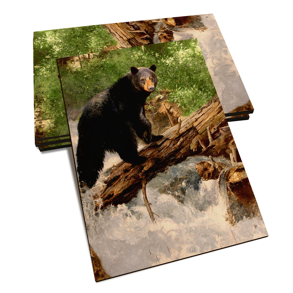 Kelso's The Causeway - Classic Edge Classic Edge Postcard (5pk // $2.80ea)