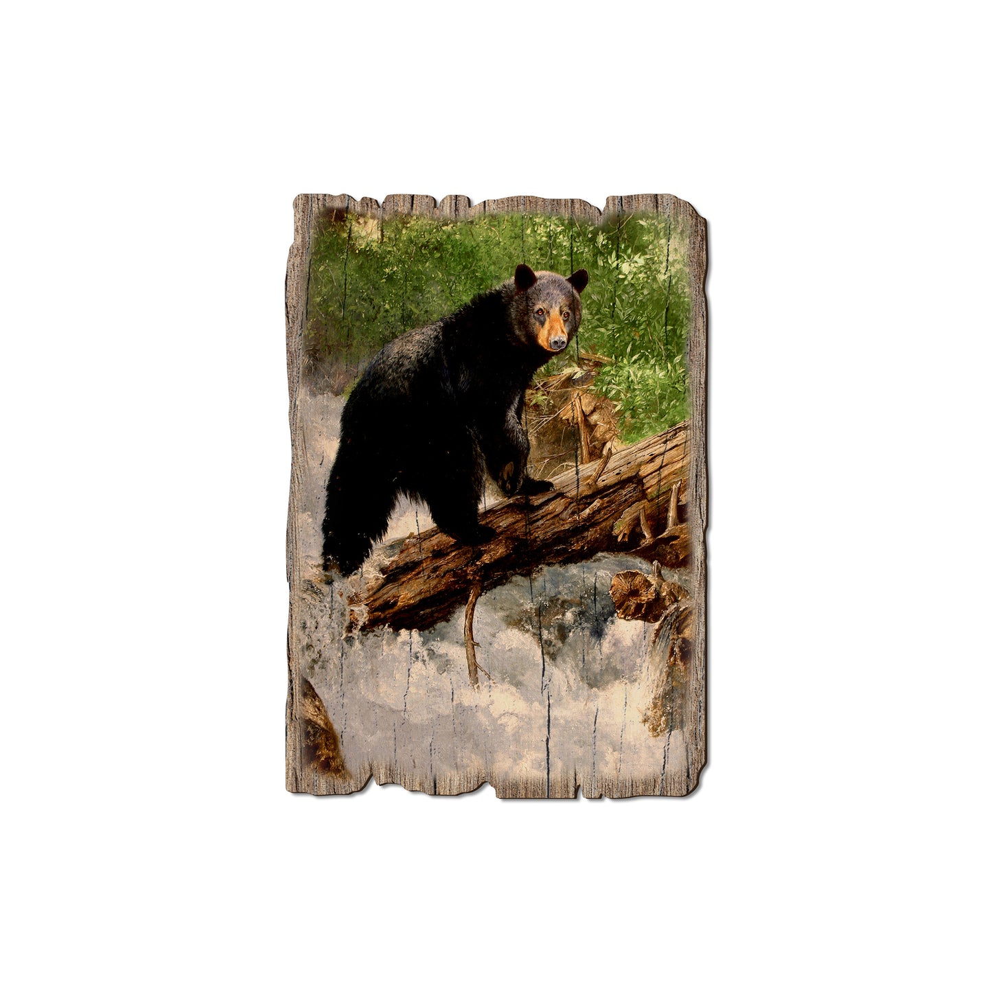 Kelso's The Causeway - Rustic Edge Postcards & Magnets Rustic Edge Magnet (5pk // $2.80ea)
