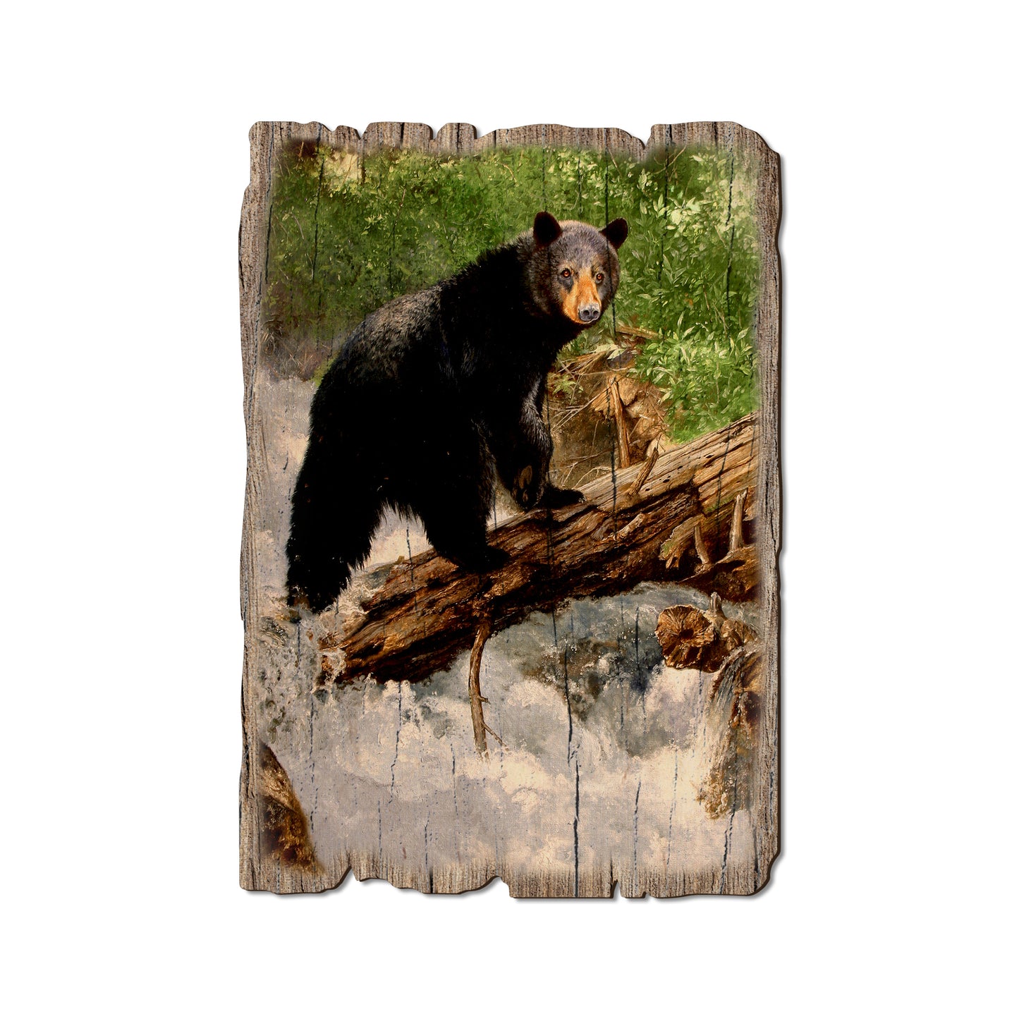 Kelso's The Causeway - Rustic Edge Postcards & Magnets Rustic Edge Postcard (5pk // $2.80ea)