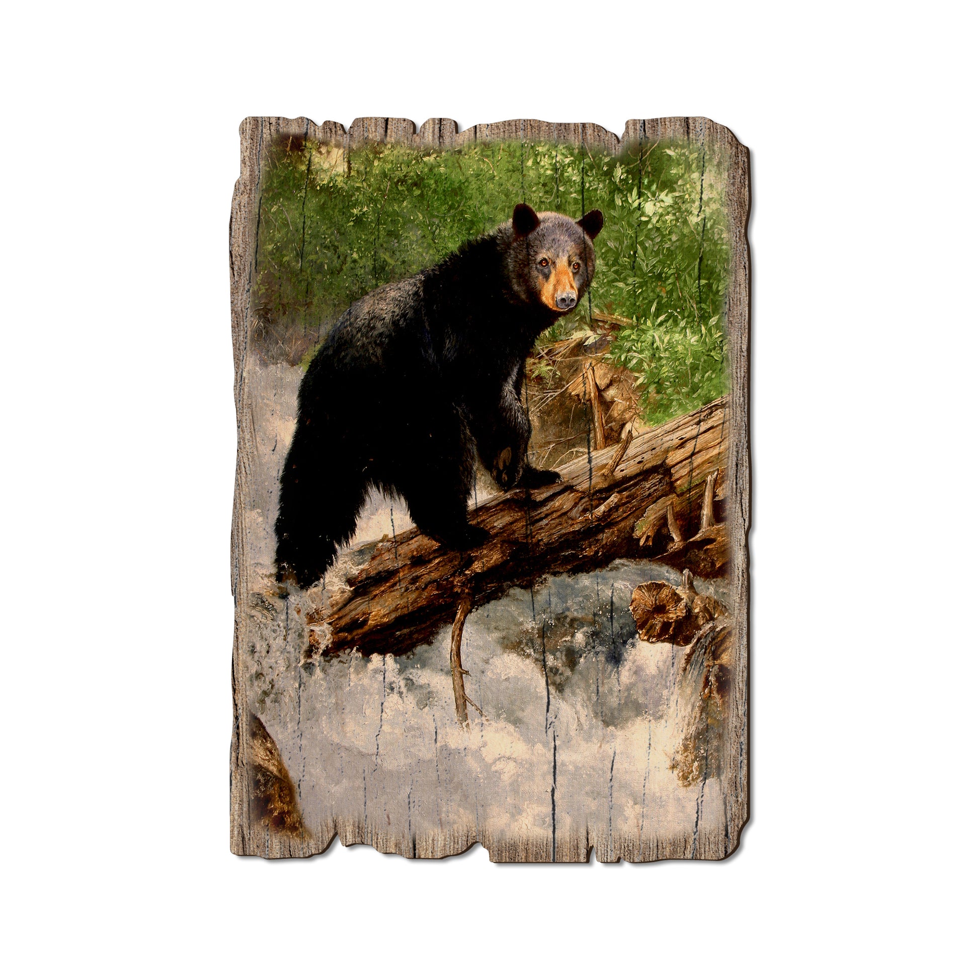 Kelso's The Causeway - Rustic Edge Postcards & Magnets Rustic Edge Postcard (5pk // $2.80ea)