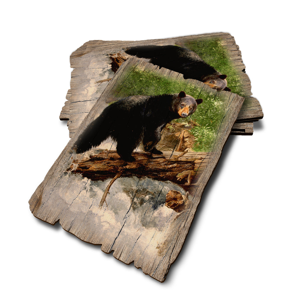 Kelso's The Causeway - Weathered Edge Rustic Edge Postcard (5pk // $2.80ea)