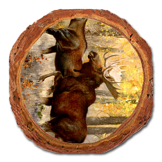 Coaster: Live Edge - Kelso's The Courtship