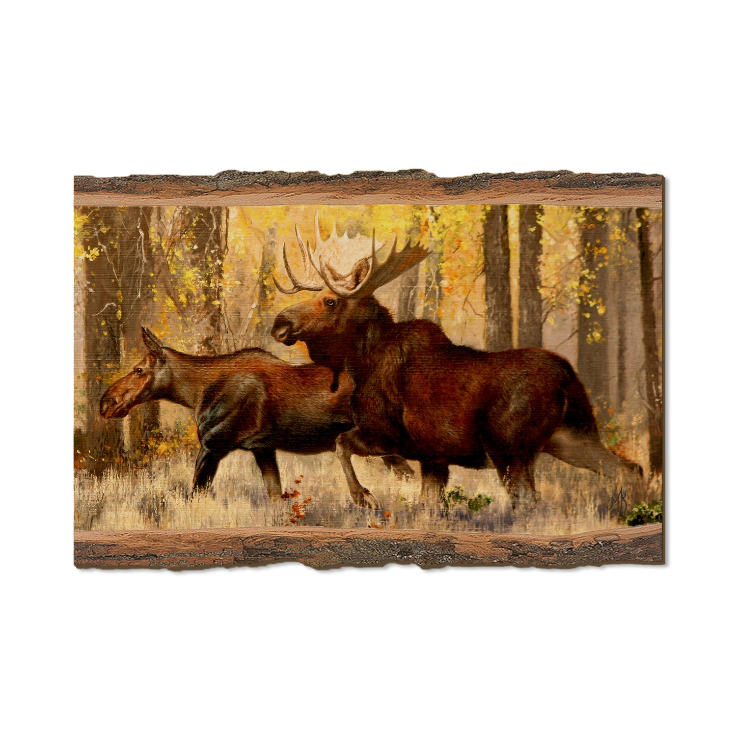 Kelso's The Courtship - Live Edge Live Edge Postcard (5pk // $2.80ea)