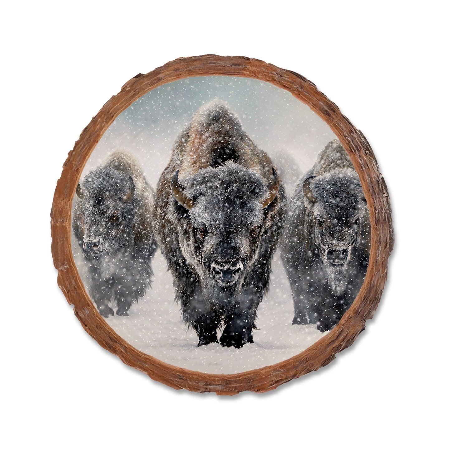 Kelso's The Indomitable - Live Edge Live Edge Coaster (5pk // $2.80ea)