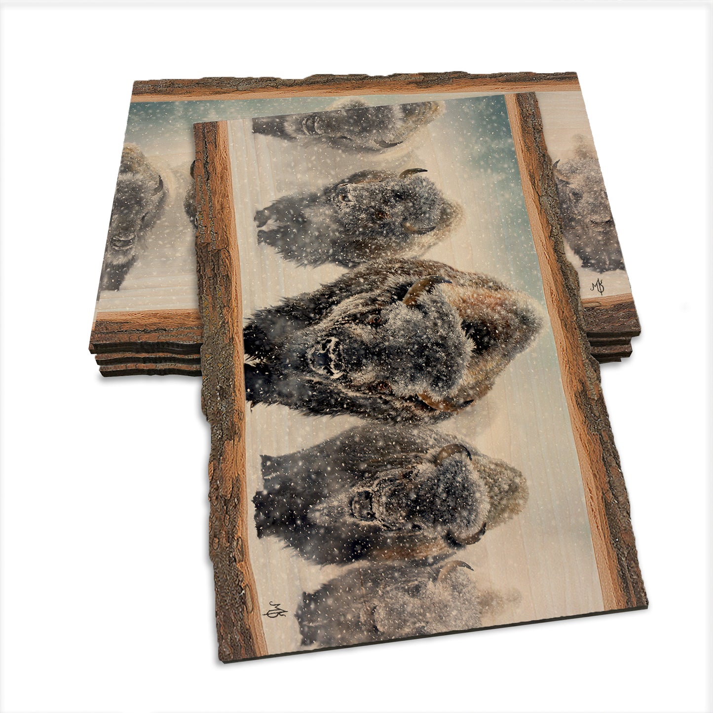 Kelso's The Indomitable - Live Edge Live Edge Postcard (5pk // $2.80ea)
