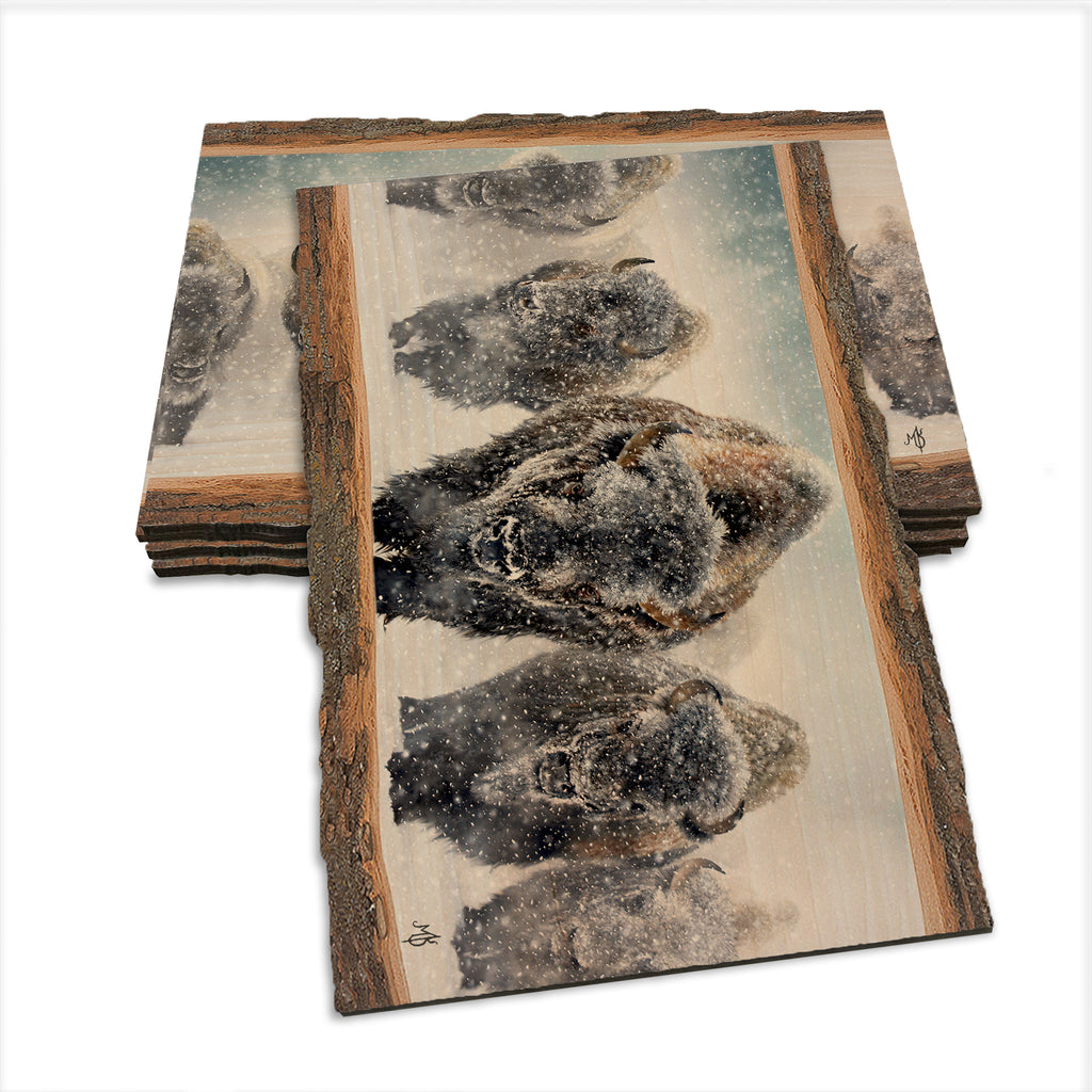 Kelso's The Indomitable - Live Edge Live Edge Postcard (5pk // $2.80ea)