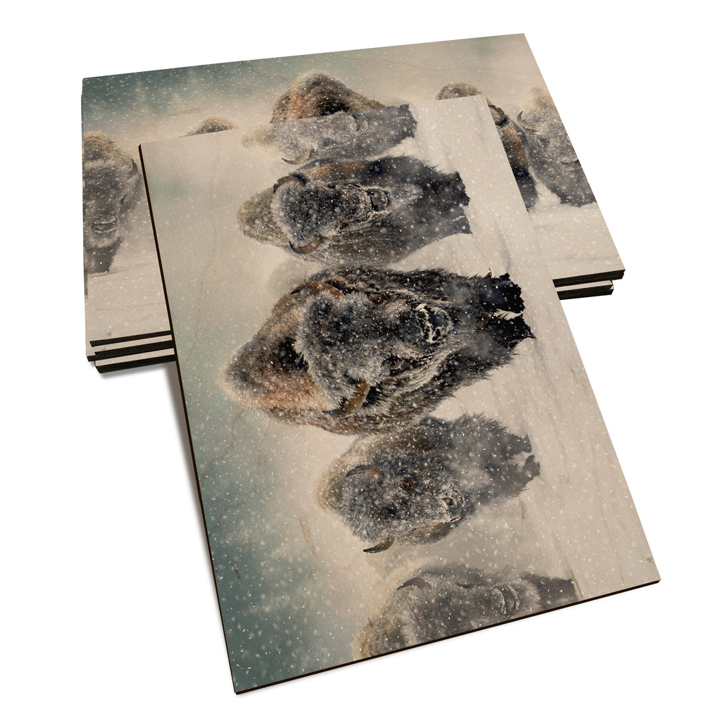 Kelso's The Indomitable - Classic Edge Classic Edge Postcard (5pk // $2.80ea)