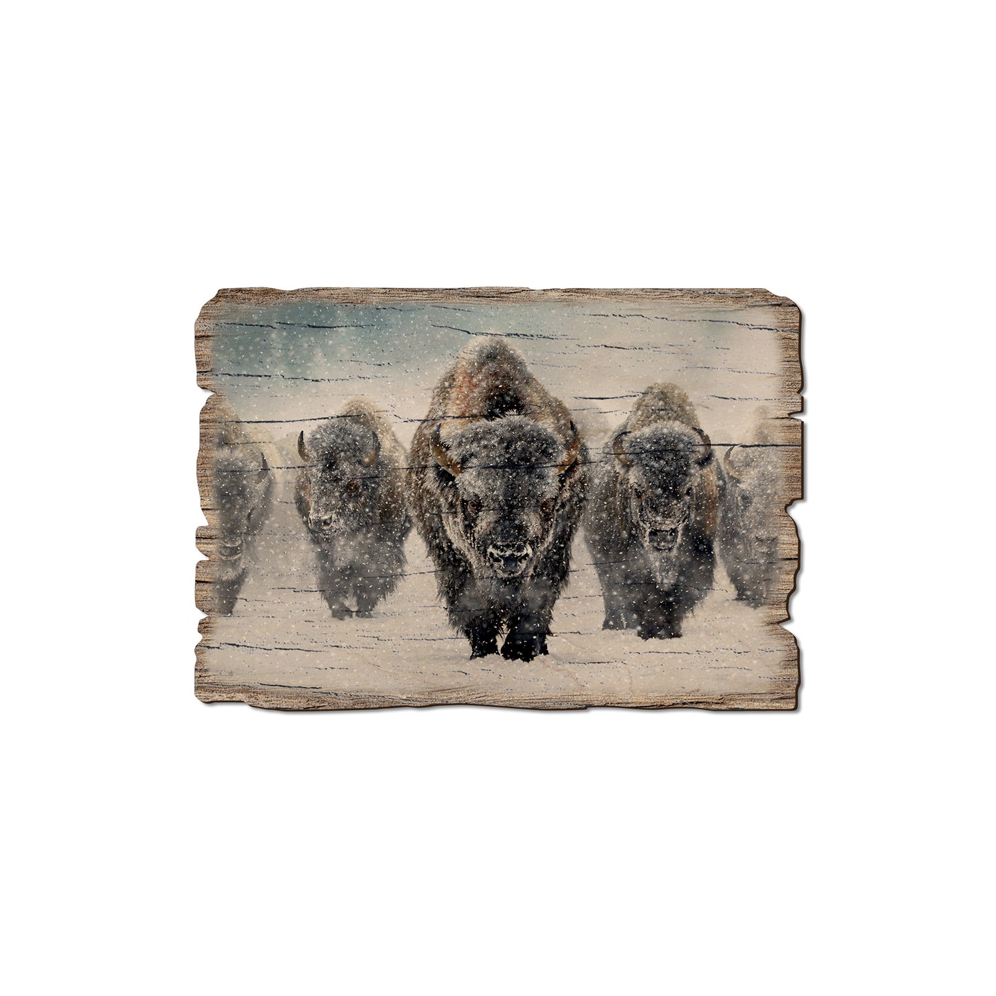 Kelso's The Indomitable - Rustic Edge Postcards & Magnets Rustic Edge Magnet (5pk // $2.80ea)