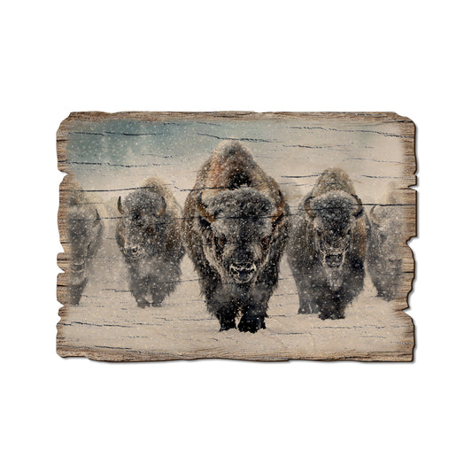 Kelso's The Indomitable - Rustic Edge Postcards & Magnets Rustic Edge Postcard (5pk // $2.80ea)