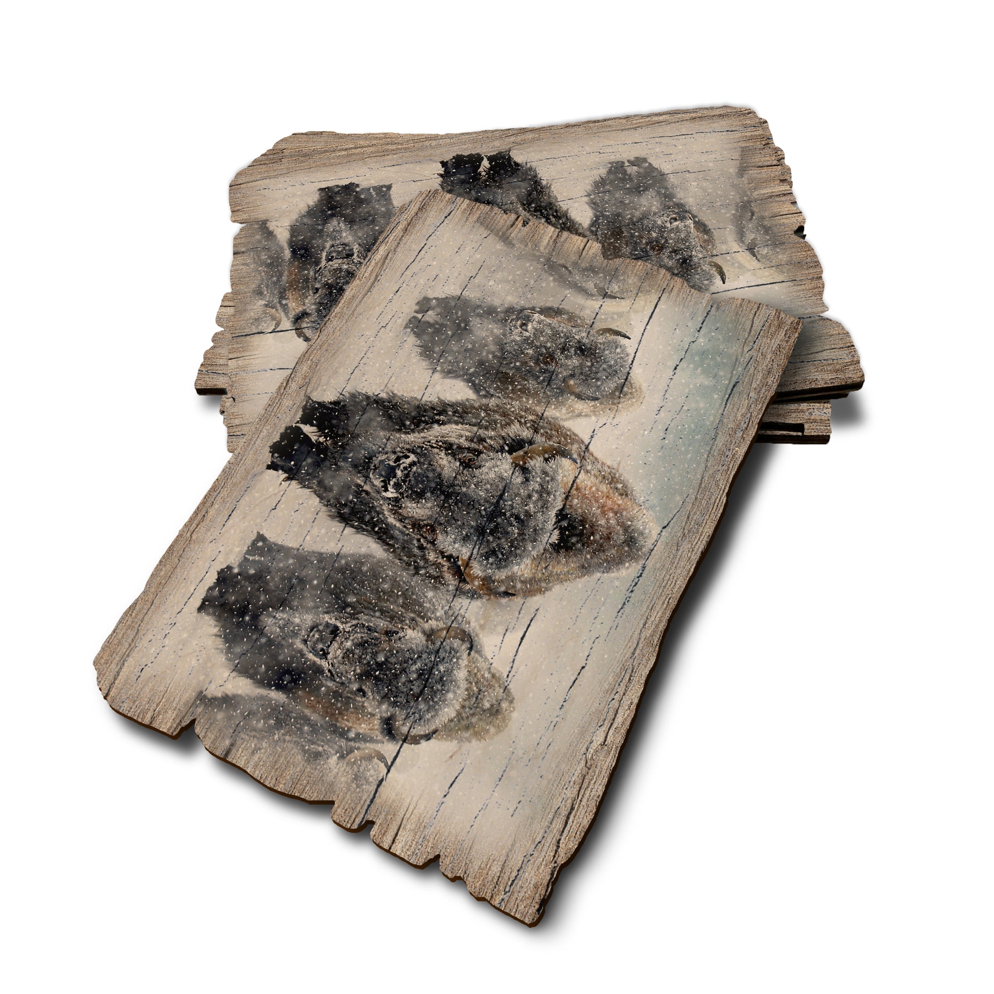 Kelso's The Indomitable - Weathered Edge Rustic Edge Postcard (5pk // $2.80ea)