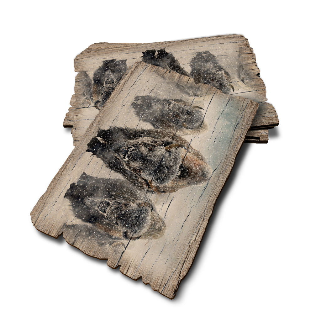 Kelso's The Indomitable - Weathered Edge Rustic Edge Postcard (5pk // $2.80ea)