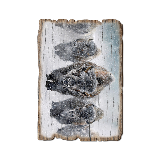 Greeting Card: Weathered Edge - Kelso's The Indomitable (Pack of 5)