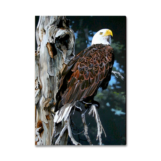 Magnet: Classic Edge - Kelso's Watch Tower