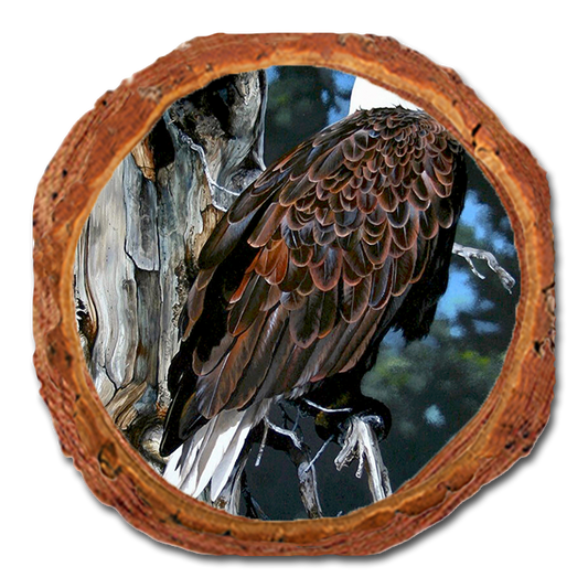 Coaster: Live Edge - Kelso's Watch Tower