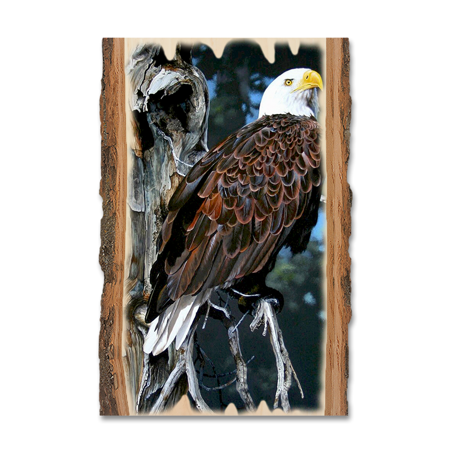 Greeting Card: Live Edge - Kelso's Watch Tower