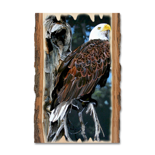 Greeting Card: Live Edge - Kelso's Watch Tower