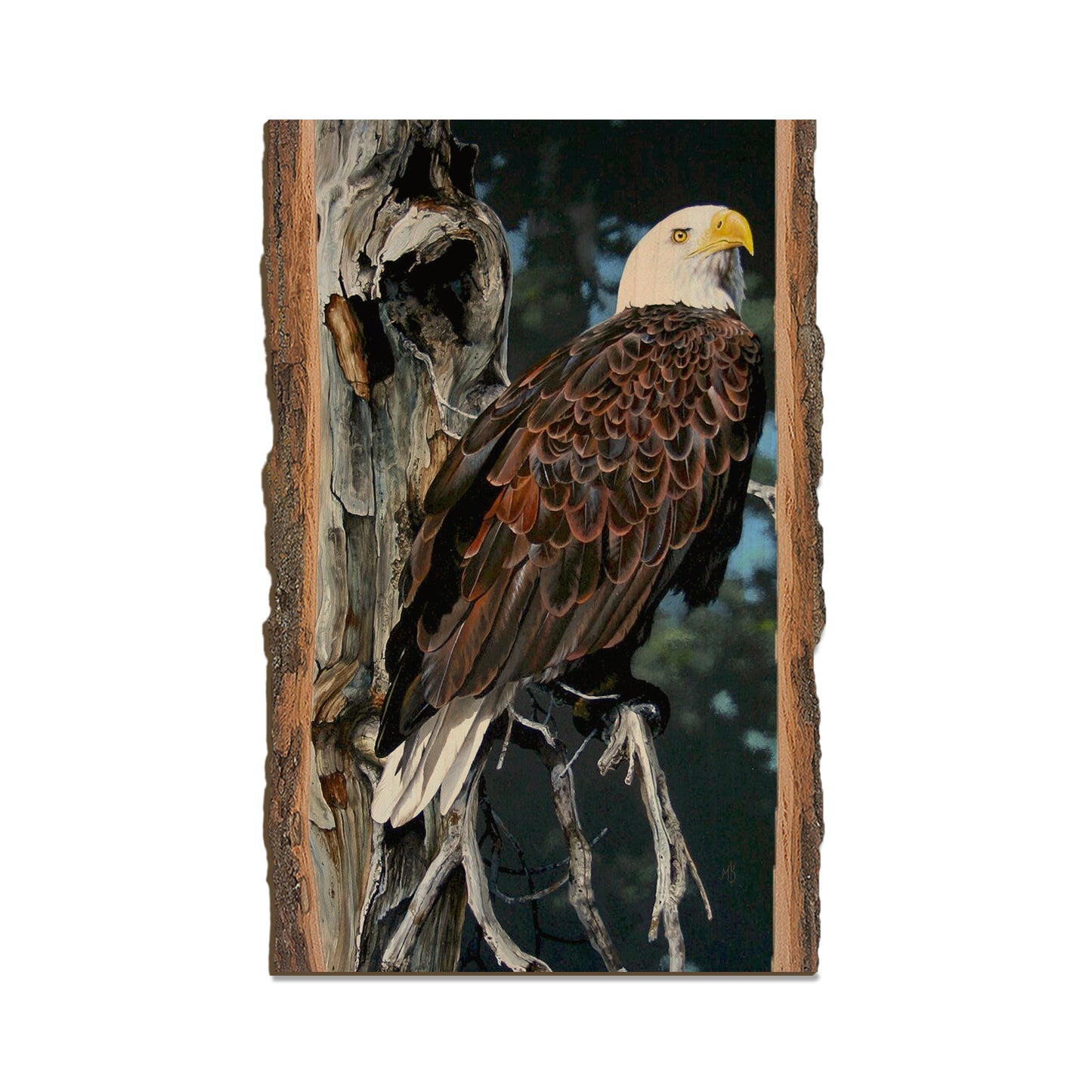 Kelso's Watch Tower - Live Edge Live Edge Magnet (5pk // $2.80ea)