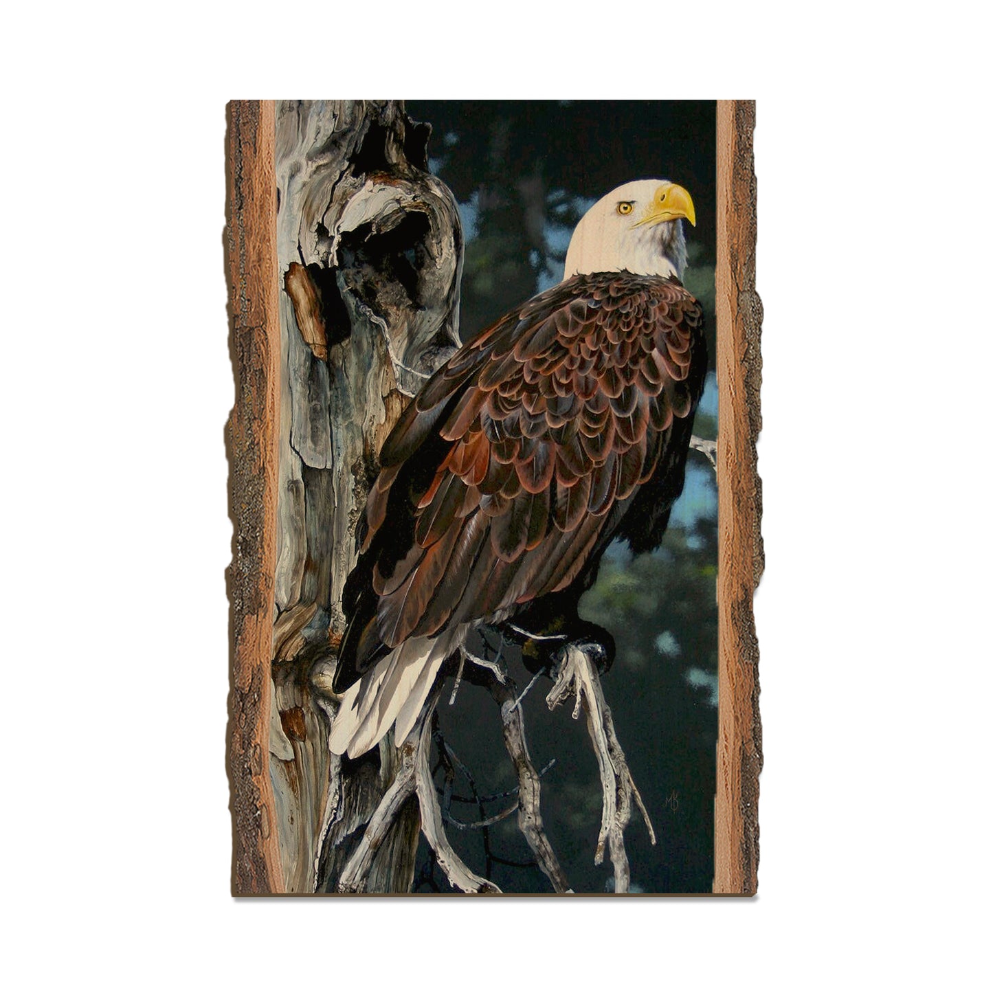 Kelso's Watch Tower - Live Edge Live Edge Postcard (5pk // $2.80ea)