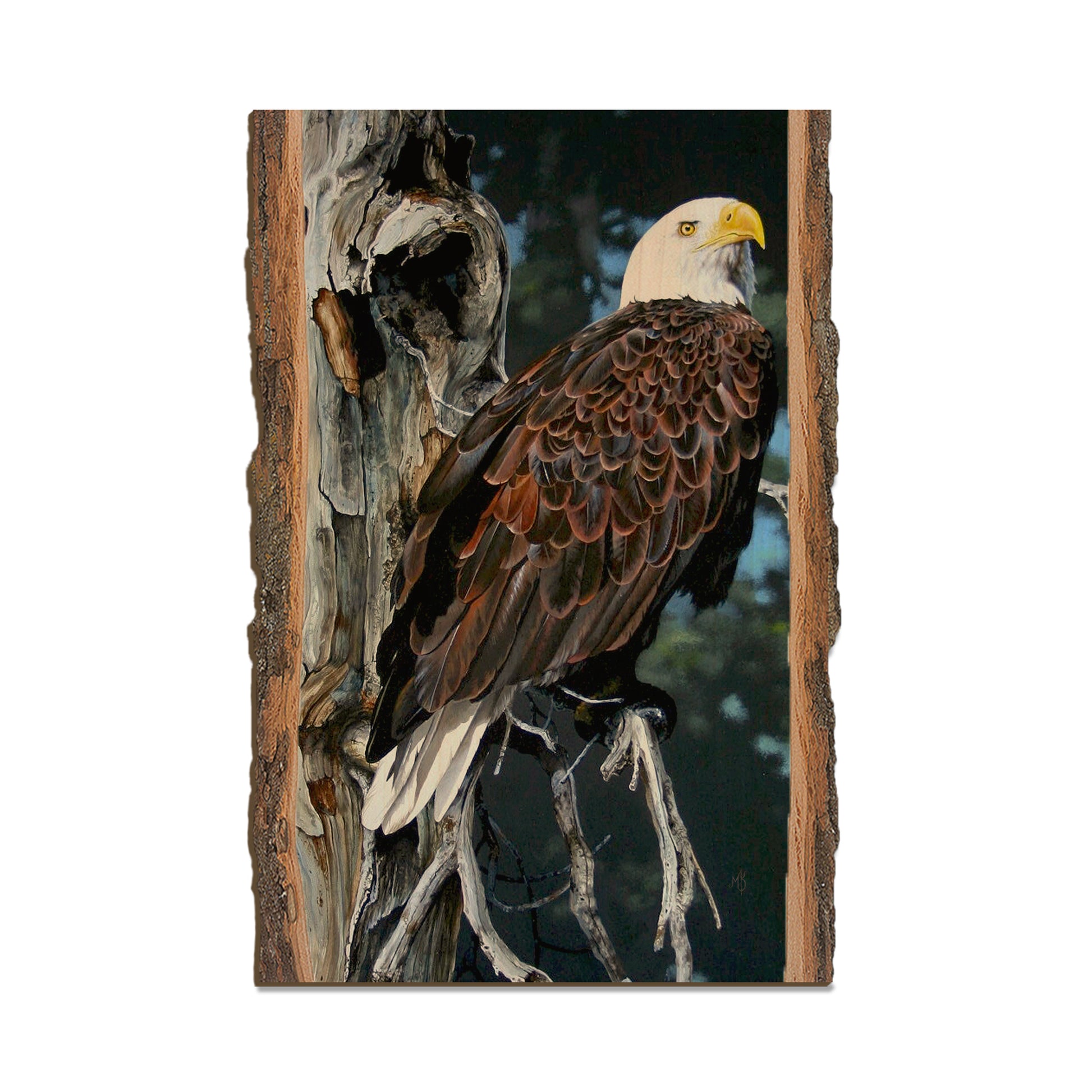Kelso's Watch Tower - Live Edge Live Edge Postcard (5pk // $2.80ea)