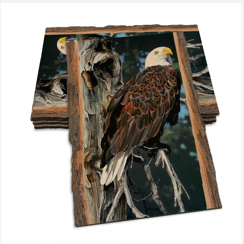Kelso's Watch Tower - Live Edge Live Edge Postcard (5pk // $2.80ea)