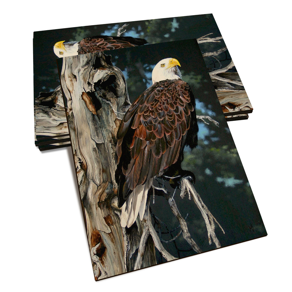 Kelso's Watch Tower - Classic Edge Classic Edge Postcard (5pk // $2.80ea)