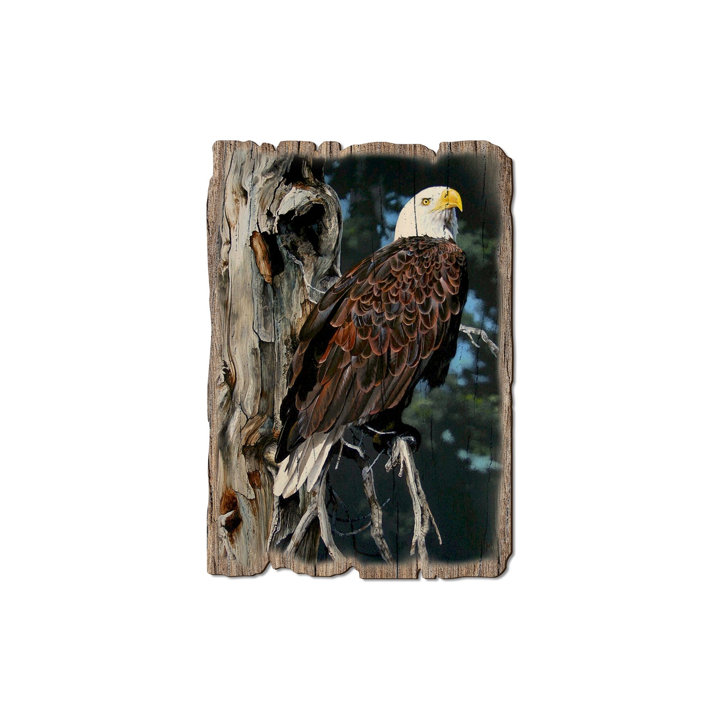Kelso's Watch Tower - Rustic Edge Postcards & Magnets Rustic Edge Magnet (5pk // $2.80ea)