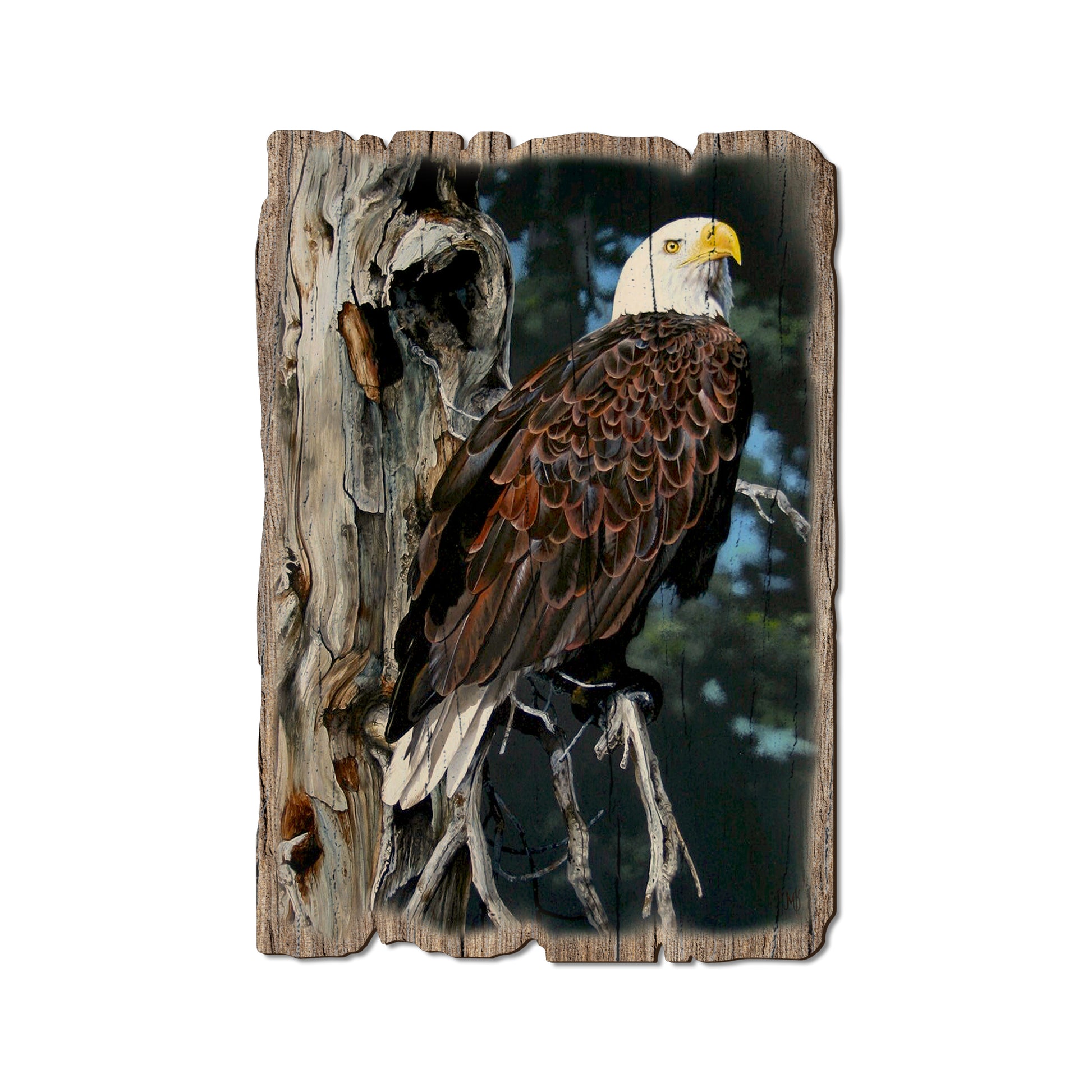 Kelso's Watch Tower - Rustic Edge Postcards & Magnets Rustic Edge Postcard (5pk // $2.80ea)