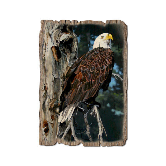 Kelso's Watch Tower - Rustic Edge Postcards & Magnets Rustic Edge Postcard (5pk // $2.80ea)