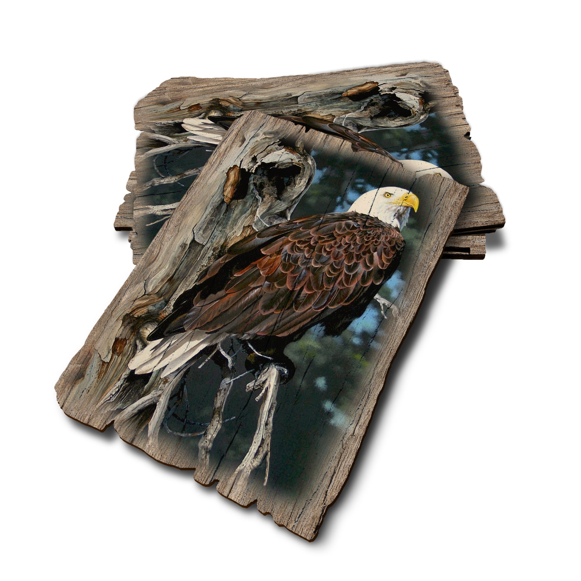 Kelso's Watch Tower - Weathered Edge Rustic Edge Postcard (5pk // $2.80ea)