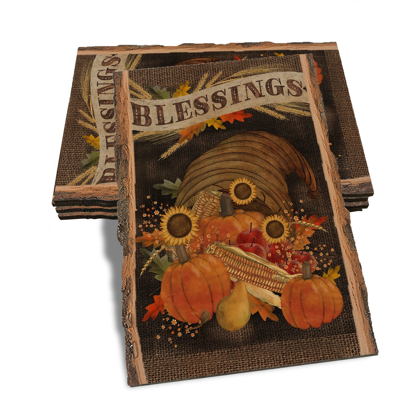 Brick Cycle - Live Edge Live Edge Postcard (5pk // $2.80ea)