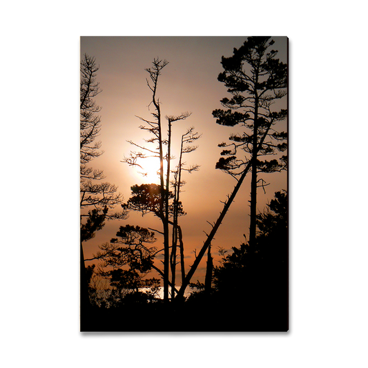 Greeting Card: Classic Edge - Ocean Forest