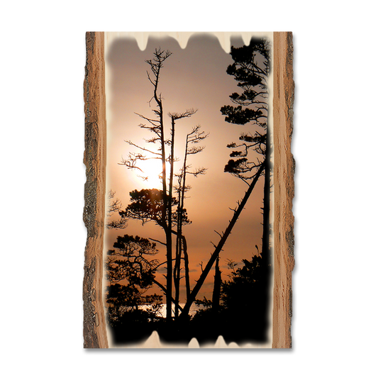 Greeting Card: Live Edge - Ocean Forest