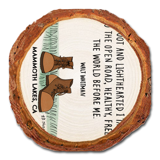 Coaster: Live Edge - Open Road (Pack of 5)