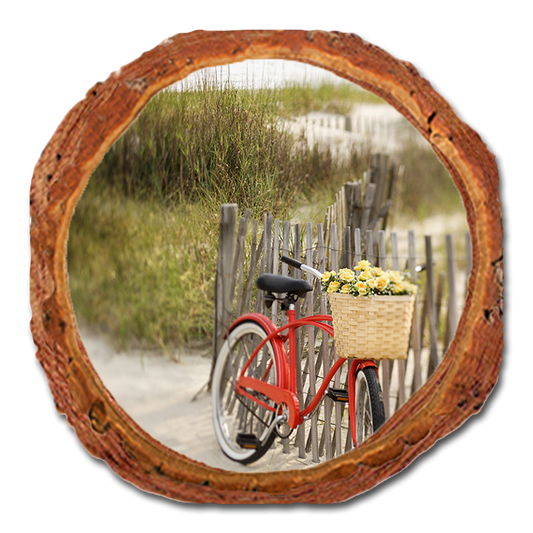 Coaster: Live Edge - Special Delivery (Pack of 5)