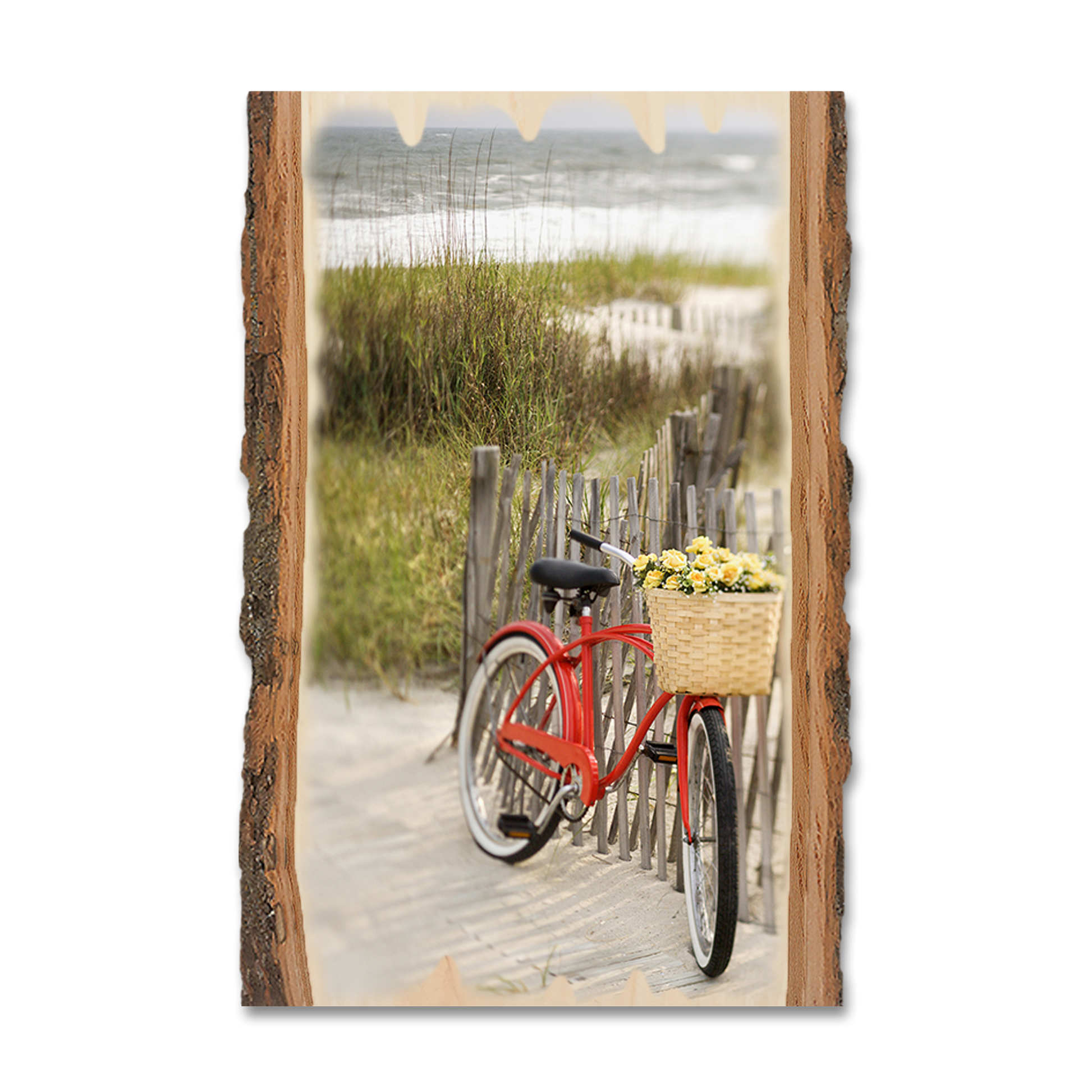 Magnet: Live Edge - Special Delivery