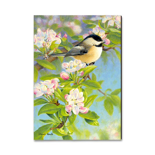 Magnet: Classic Edge - Gould's Chickadee Blossoms
