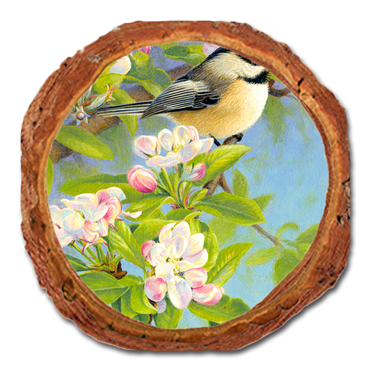 Coaster: Live Edge - Gould's Chickadee Blossoms