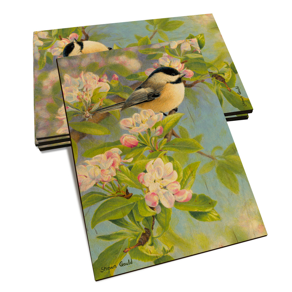 Gould's Chickadee Blossoms - Classic Edge Classic Edge Postcard (5pk // $2.80ea)