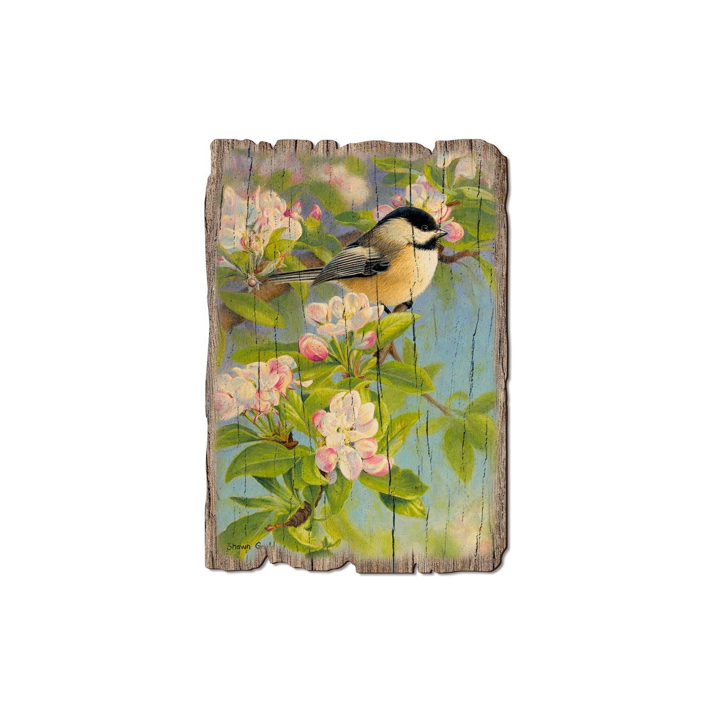 Gould's Chickadee Blossoms - Rustic Edge Postcards & Magnets Rustic Edge Magnet (5pk // $2.80ea)