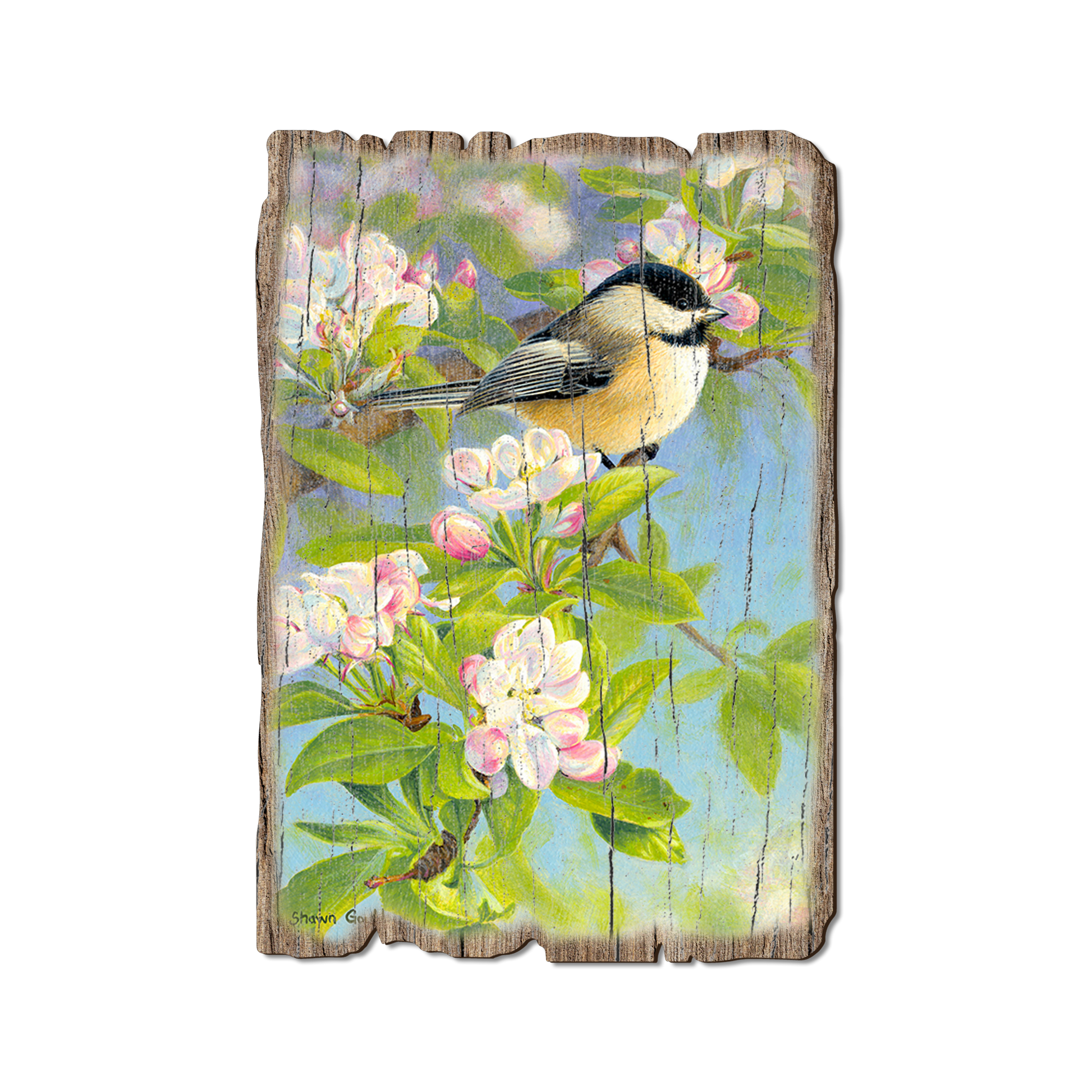 Greeting Card: Weathered Edge - Gould's Chickadee Blossoms