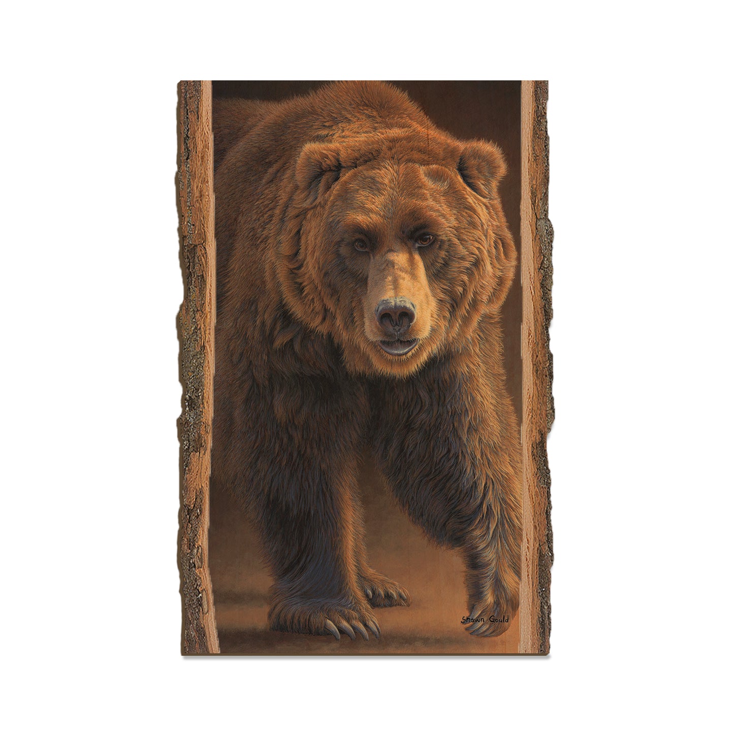 Gould's Close Encounters - Live Edge Live Edge Magnet (5pk // $2.80ea)