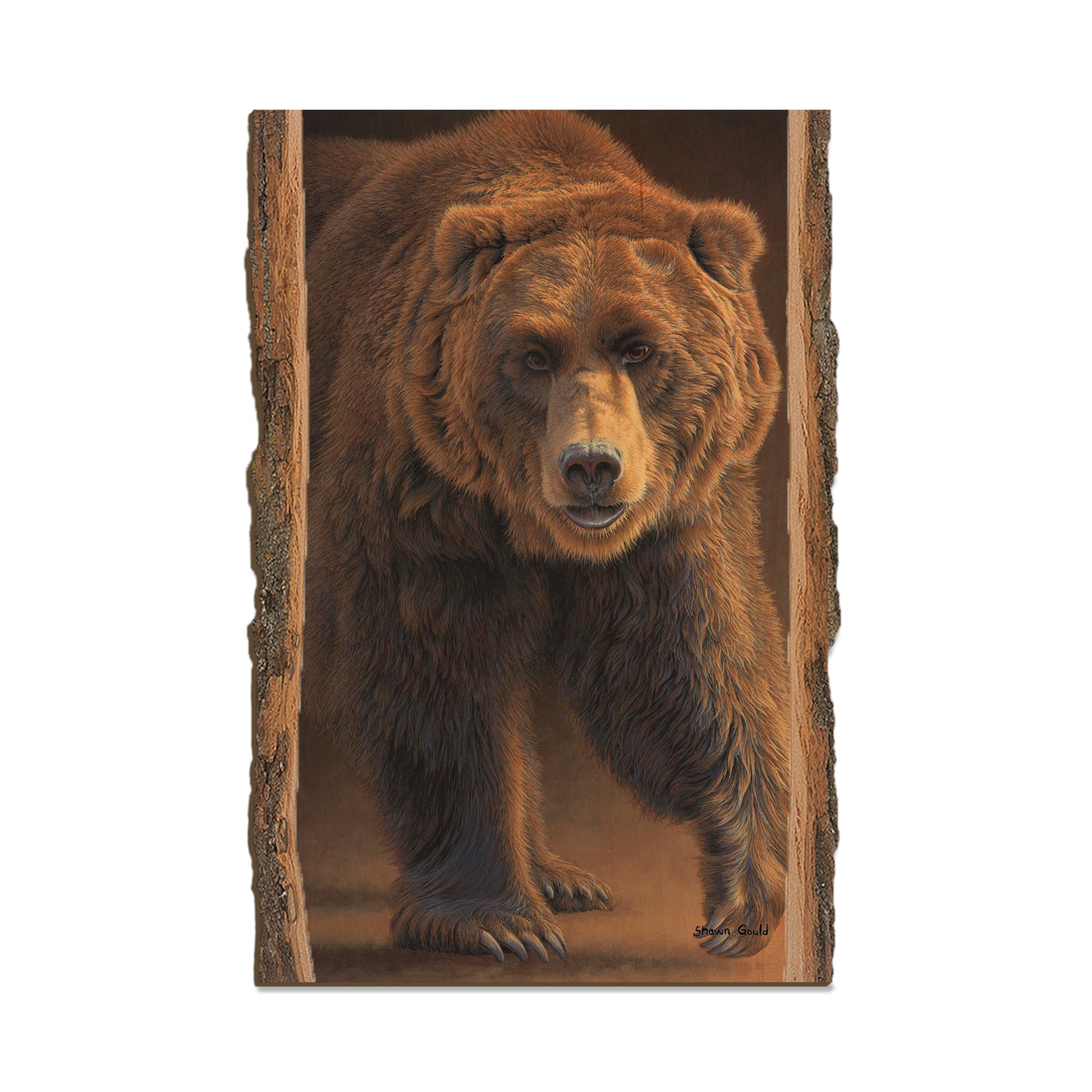 Gould's Close Encounters - Live Edge Live Edge Postcard (5pk // $2.80ea)