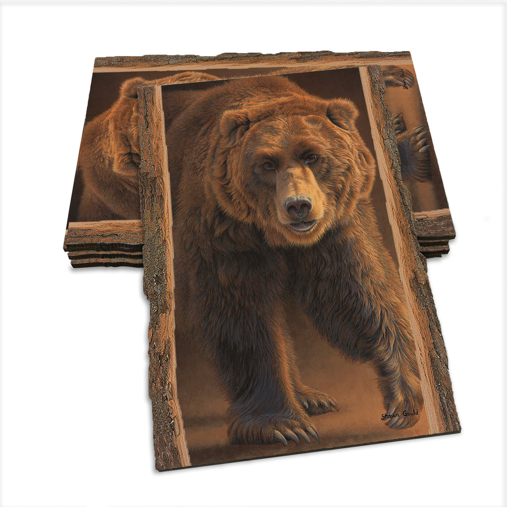 Gould's Close Encounters - Live Edge Live Edge Postcard (5pk // $2.80ea)