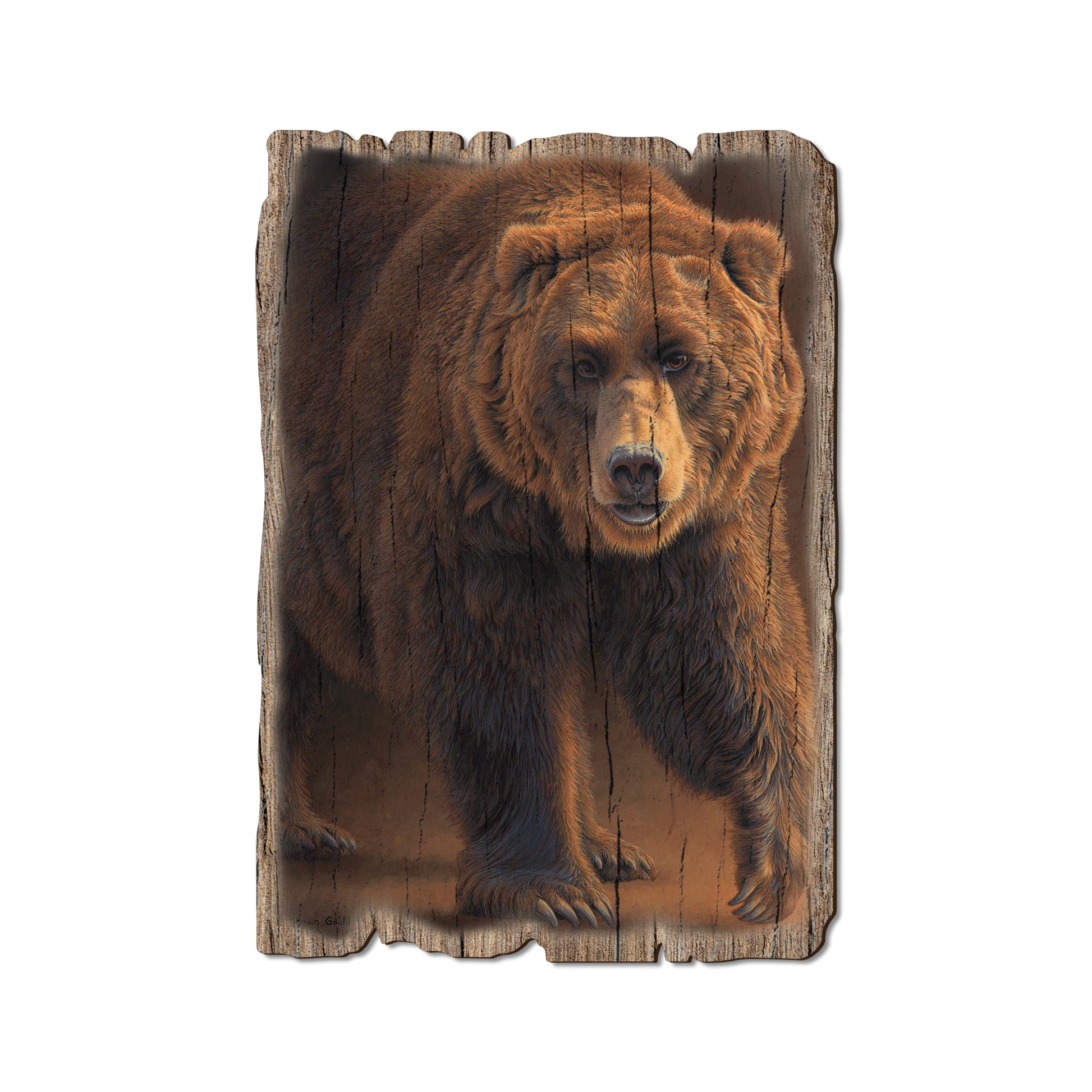 Gould's Close Encounter - Rustic Edge Postcards & Magnets Rustic Edge Postcard (5pk // $2.80ea)