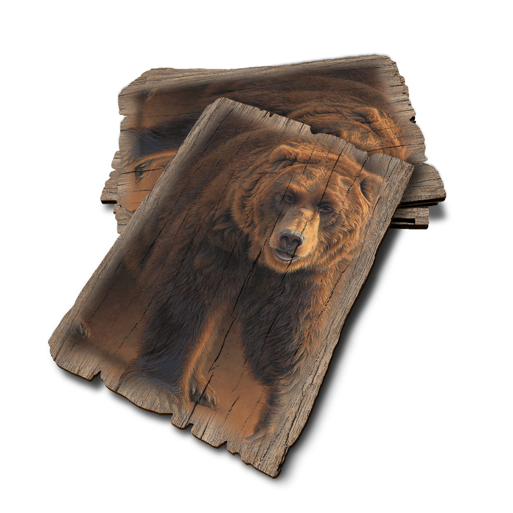 Gould's Close Encounter - Weathered Edge Rustic Edge Postcard (5pk // $2.80ea)